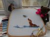 DSCN5766.JPG
