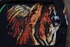 DSC_2904.thumb.JPG.ec0998323c65550d3fe526c2c0a4cef6.JPG
