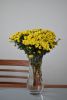 DSC_2923.thumb.JPG.a32192c3aca94a81afedda573911a793.JPG
