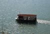 DSC_2931.thumb.JPG.b826bb49473ee059797f14e5401bbc74.JPG