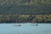 DSC_2951.thumb.JPG.17a4a88cb71239e83a1b444dfc4f4280.JPG
