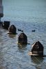 DSC_2978.thumb.JPG.4702ef3765ca4c475e33dd686cb8e0d1.JPG