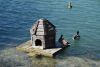 DSC_2986.thumb.JPG.f15c8a7f292733750dd66fda6cfa950b.JPG