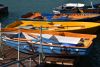 DSC_3005.thumb.JPG.228e11e8dcc4c5273081120a09f5d3db.JPG
