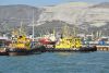 DSC_3080.thumb.JPG.e4e50e0338276583b2cb9e7805b91589.JPG