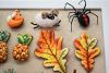 DSC_3217.thumb.JPG.c345f1564aff9c15223fcaebcf54969f.JPG
