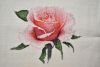 DSC_3281.thumb.JPG.919f95631f0d9daa380dffeff503bd63.JPG