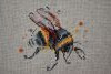 DSC_3296.thumb.JPG.c0bd214b810a96924e1e62e825e15182.JPG?1667072535432