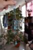 DSC_3305.thumb.JPG.6de935e5dae13a339d9fed7902b70fab.JPG