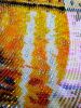 E587B96F-1D72-4B20-9621-7B96308BA386.thumb.jpeg.598588bc6aaa9002eb5dd0a65874652e.jpeg