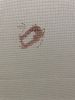E60059A4-3251-4CFA-9C4E-EA68D40A0BE4.jpeg.b8c47c680b15e2857d7d94c7d5431ee6.thumb.jpeg.486ac25ef8eef09f2afc29070a76f79f.jpeg