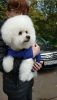 IMG-20221007-WA0006.thumb.jpeg.4bea300aec81d4af01113b26304befc4.jpeg