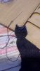 IMG-20221007-WA0017.thumb.jpeg.a770c002b093a987ba9788d248844751.jpeg