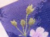 IMG20221021153939.thumb.jpg.3afb6565cbd2ea77a371cc62d60d2519.jpg?1666356696501