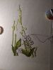 IMG_20210620_021503.thumb.jpg.443e059eb275f28b117c8e0dee3ca828.jpg