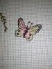 IMG_20210818_163326.thumb.jpg.2505b0af0bd7920d548fa889b5f5c616.jpg