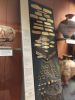 IMG_20220909_173537.thumb.jpg.0e90200246fa97bb49c266bca6c2acc7.jpg