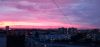 IMG_20220919_190636.thumb.jpg.fbc269ef3bf8e0c7cf6d9534cb7a393f.jpg