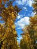 IMG_20220920_152123.thumb.jpg.0cf46ee49a8bfa86bb7dfa44b20813f1.jpg
