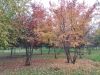 IMG_20220930_183344.thumb.jpg.79d4583ec58760e3b9f2c8c2b6dcfeed.jpg