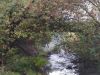 IMG_20221001_130828.thumb.jpg.8d68b68a9b74be979945d387ce3d2d1f.jpg