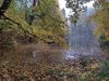 IMG_20221001_165714.thumb.jpg.8a37a990eeb80cce8401448ffcc4c47b.jpg