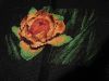 IMG_20221001_184002.thumb.jpg.8caeb961254ba4cec341d7470673757a.jpg
