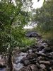 IMG_20221002_125051.thumb.jpg.a4ee1f9ff10dcdda3d4c040c999ba229.jpg