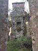 IMG_20221002_130951.thumb.jpg.cbeee7f347d8ffb3390d77df6a3de966.jpg