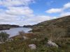 IMG_20221002_135256.jpg