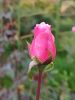 IMG_20221002_153713.thumb.jpg.f2accb8d23fdc88eb54f30b017055966.jpg