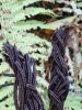 IMG_20221002_154601.thumb.jpg.7d34790bd8d2541be55fd1d08cbc88b7.jpg