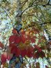 IMG_20221008_122029.thumb.jpg.68eab4871a498d3eeccc50a1e40dbc1d.jpg