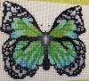 IMG_20221008_191059.thumb.jpg.ba936748012987abb08987f7152a45ce.jpg