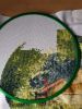 IMG_20221016_114150.thumb.jpg.a2d1b89c9ddd3c53bfc54752c4323865.jpg
