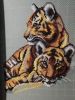 IMG_20221022_003528.thumb.jpg.5d26776b0cbb7cd703d5a50b8d6a39fa.jpg