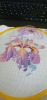 IMG_20221027_121051.thumb.jpg.224ac2437d2b386f9c8ee438c5552816.jpg