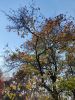 IMG_20221027_161620.thumb.jpg.747c9d260448d0f4523f13bda57b359a.jpg