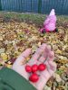 IMG_20221027_161652.thumb.jpg.a43ca25ebbd3131b6f61cd48c8d253ac.jpg