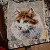 MZvY8cuiFAkozg_sV4JS0_p-tZ2vKJCnvNP5EN36cW3JJiCWAsWsDJzFFqK-VmTNO7ROl3sYMxE4fJyq4LmKY_4T.thumb.jpg.af8592a3515611da98373eed1ab627af.jpg