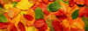 Screenshot_1.thumb.png.149c05d0dcac04cf7b4d0765e790a37c.png