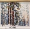 ZD-20221021-20985.jpg.3646c67866ff9f9a9d3ac38400ed6713.thumb.jpg.308f471fe77d146b7dae214ae7fde2e9.jpg