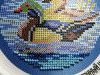 100.thumb.jpg.92b6ff6975f977403e78f5d2430db218.jpg?1669831891174