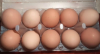 1248874303_2022-11-2823_56_15.thumb.png.f9f8fbb207a3c158994ef16cf10d52c2.png