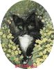 Heritage 346, Бело-черная кошка (Black And White Cat)