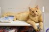 197184277_DSC_3393(2).thumb.jpg.f23552b01484ad7b36b5bae4b91cdfc2.jpg