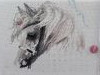 20210527_065053.thumb.jpg.19d13e651b1d2f98f88960fade976056.jpg?1667373025131