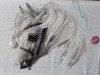20210529_162621.thumb.jpg.658732ffa534591969958922aa671174.jpg?1667373049166