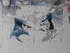 20210820_102248.thumb.jpg.e09ce132f6dd00505ec80b3e22a5df1d.jpg?1667373342728