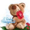 2022-11-14-18-46-26.thumb.jpg.dd8befbed13e4664be63f2a7572acc76.jpg